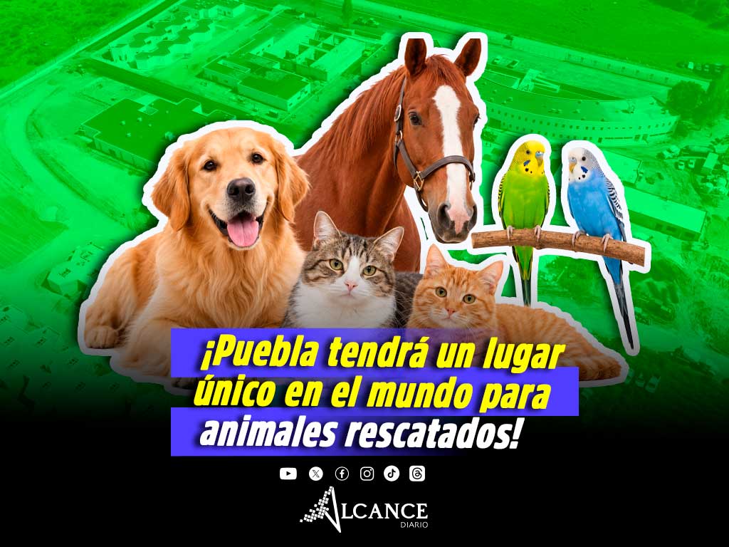 Puebla abrirá la Célula de Bienestar Animal más grande del país para animales rescatados