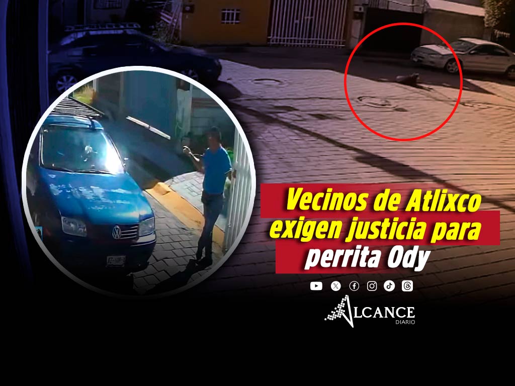 Indignación en Atlixco: denuncian a conductor por atropellar intencionalmente a perrita