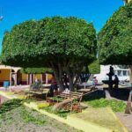 Fortalecen la atención a las juntas auxiliares de San Pedro Cholula con la Brigada de la Transformación
