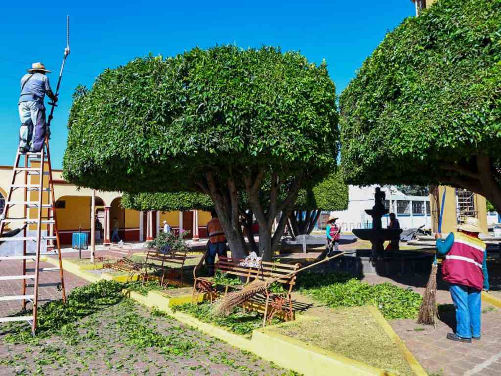 Fortalecen la atención a las juntas auxiliares de San Pedro Cholula con la Brigada de la Transformación