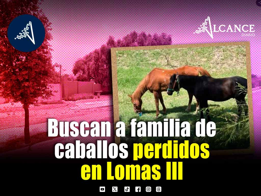 Buscan a dueños de dos caballos encontrados en Lomas de Angelópolis