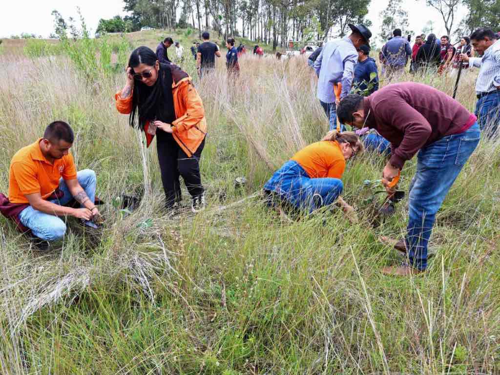 Encabeza Tonantzin Fernández reforestaciones constantes en el Cerro Zapotecas