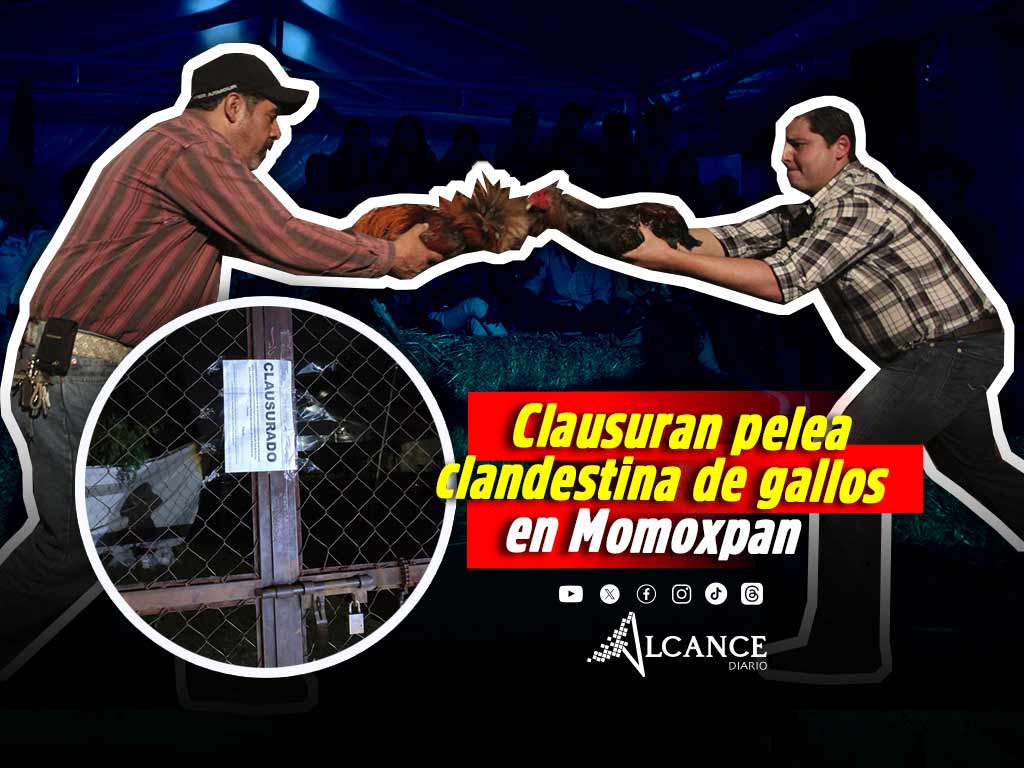 Clausuran palenque clandestino con pelea de gallos en Santiago Momoxpan