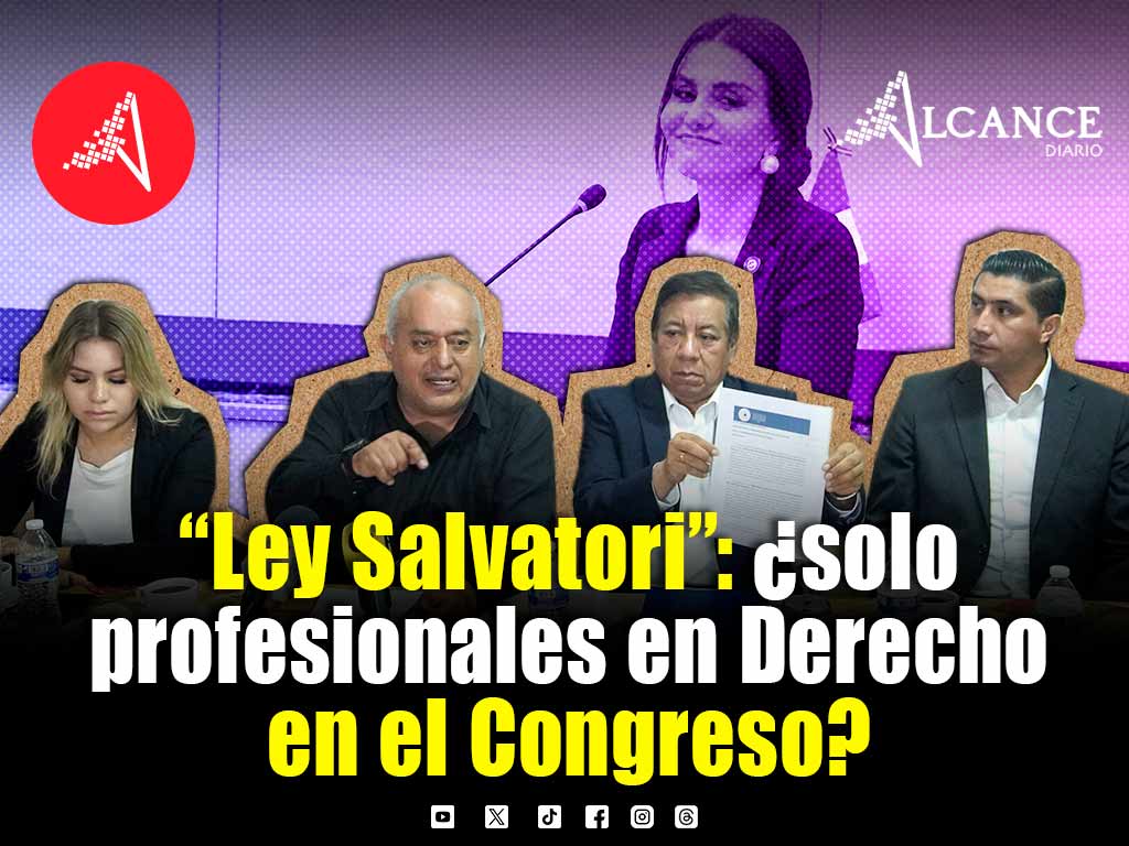 ¿Ley Salvatori?: plantean exigir título en Derecho para llegar al Congreso