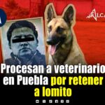 ¡Se quería quedar con el lomito! Procesan a veterinario en Puebla por retener a perrito y encerrar a su dueña