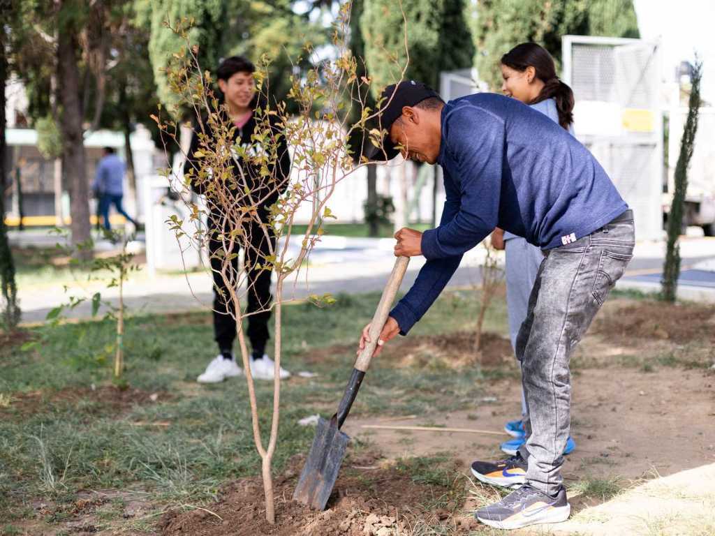 Gobierno de San Andrés Cholula realiza Jornada de Reforestación Santa María Cuaco