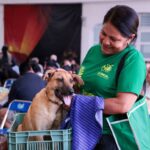 Promueven en San Andrés Cholula jornadas de esterilización felina y canina