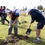 Lupita Cuautle impulsa reforestación en San Antonio Cacalotepec con 220 nuevos árboles