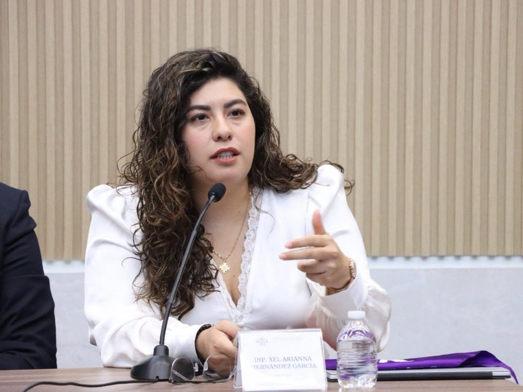 Impulsa Xel Arianna Hernández iniciativa en materia de violencia vicaria