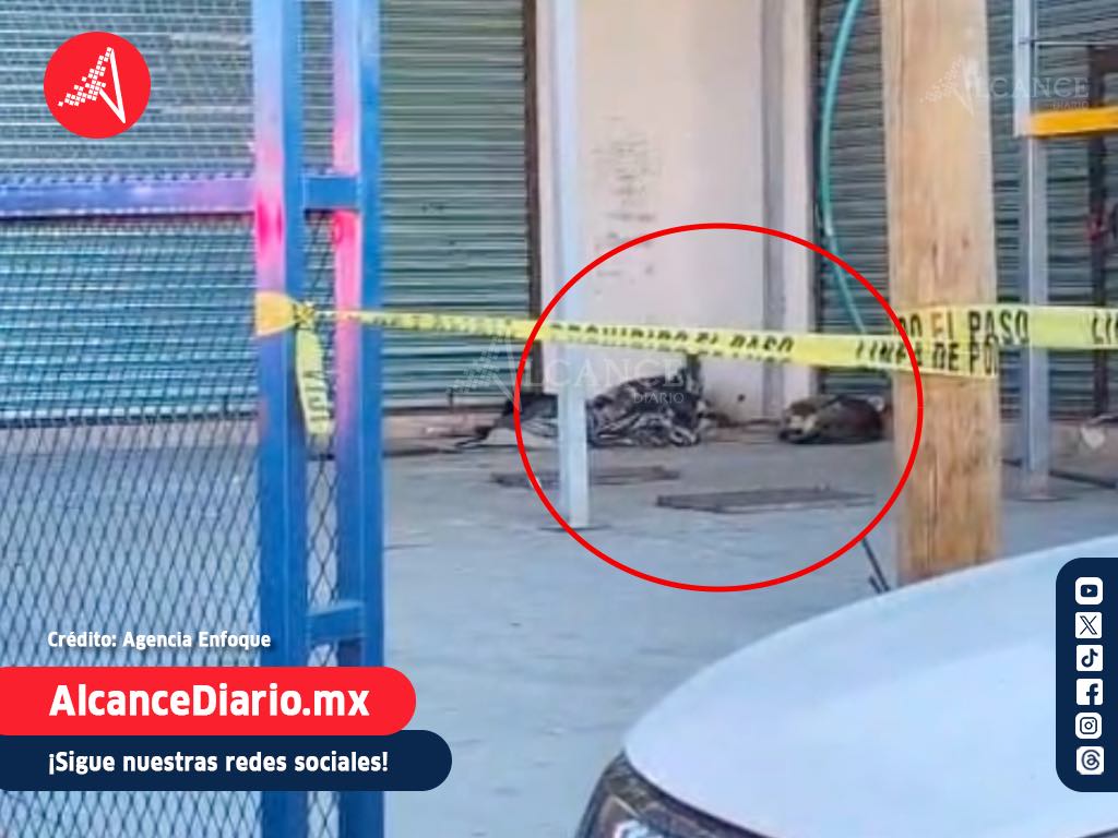 Encuentran a hombre sin vida en la Central de Abasto de Puebla; lomito resguardaba el cuerpo