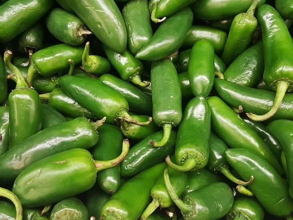 Alerta por brote de salmonela en EU; jalapeños de México provocan 345 casos