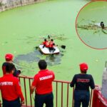 ¡Final feliz! Rescatan a lomito que cayó a vaso regulador en Cuautlancingo