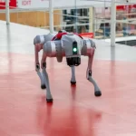 Llega robot perruno a la IBERO; así es el peculiar “can”