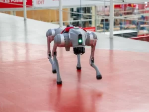 Llega robot perruno a la IBERO