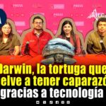 Darwin, la tortuga que recupera su caparazón con apoyo de Ingeniería Biónica de la UPAEP