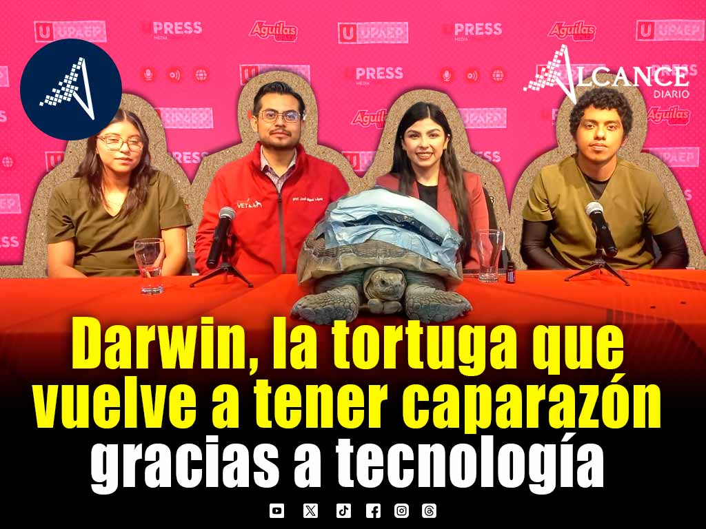 Darwin, la tortuga que recupera su caparazón con apoyo de Ingeniería Biónica de la UPAEP