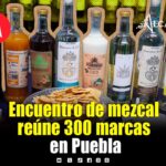 Mezcal de Puebla conquista paladares y reúne 300 marcas en encuentro nacional