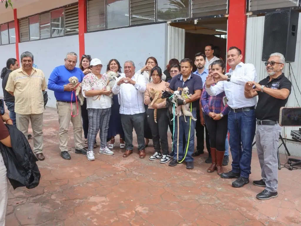 Amozoc fortalece la salud pública y el bienestar animal con Jornadas Gratuitas de Esterilización Canina y Felina