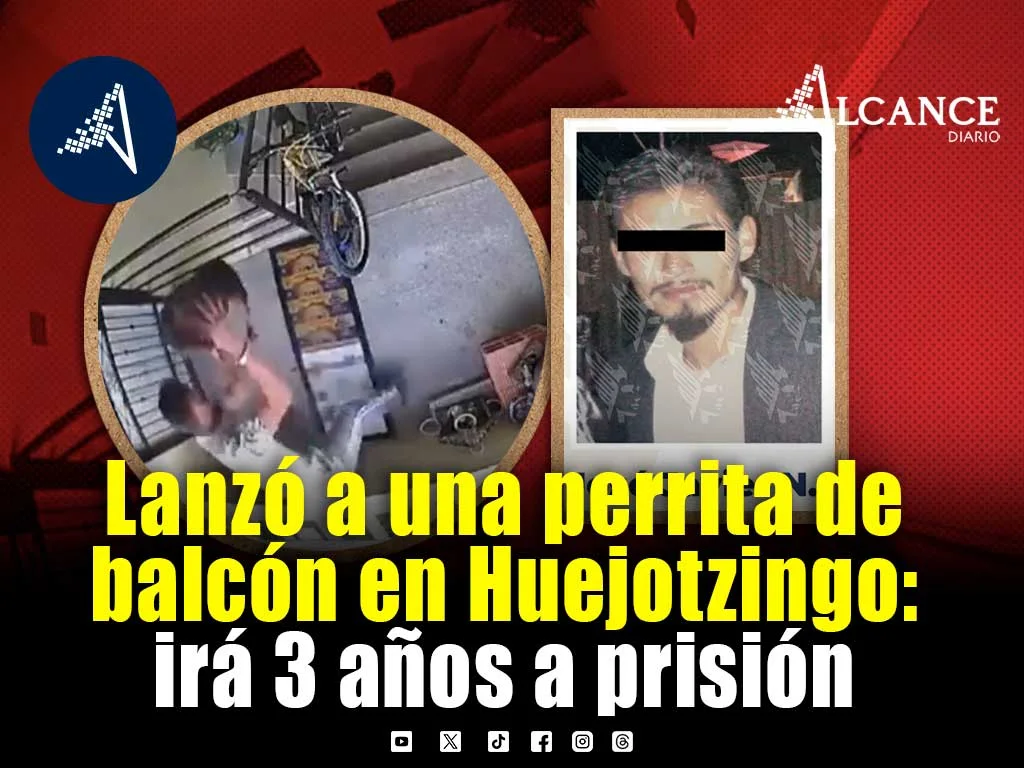 Condenan a 3 años de prisión a hombre por golpear y lanzar a una perrita desde un tercer piso en Huejotzingo
